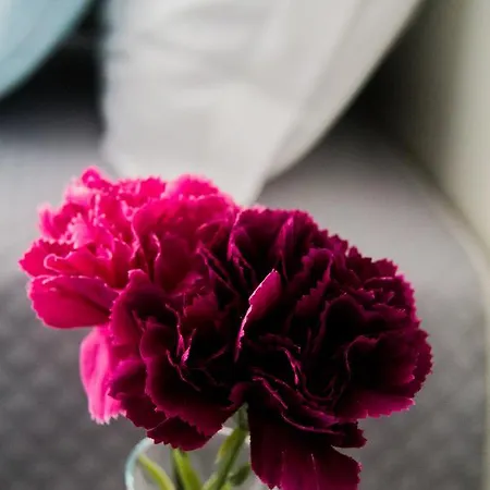Civico 7 Alojamento de Acomodação e Pequeno-almoço 4*
