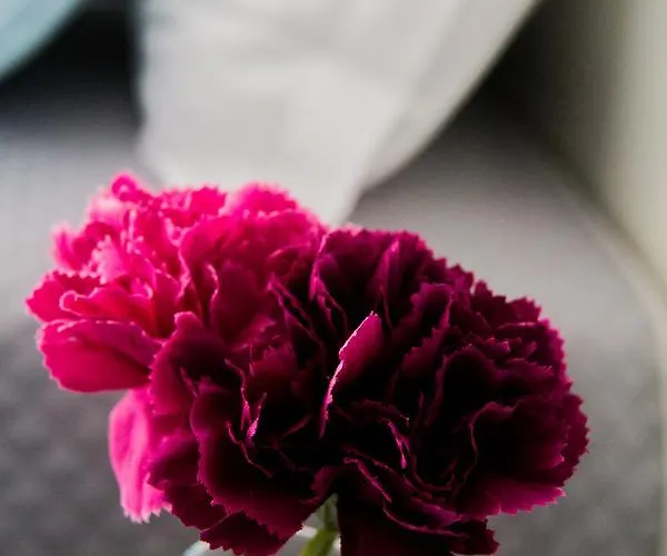 Civico 7 Bed and Breakfast 4*